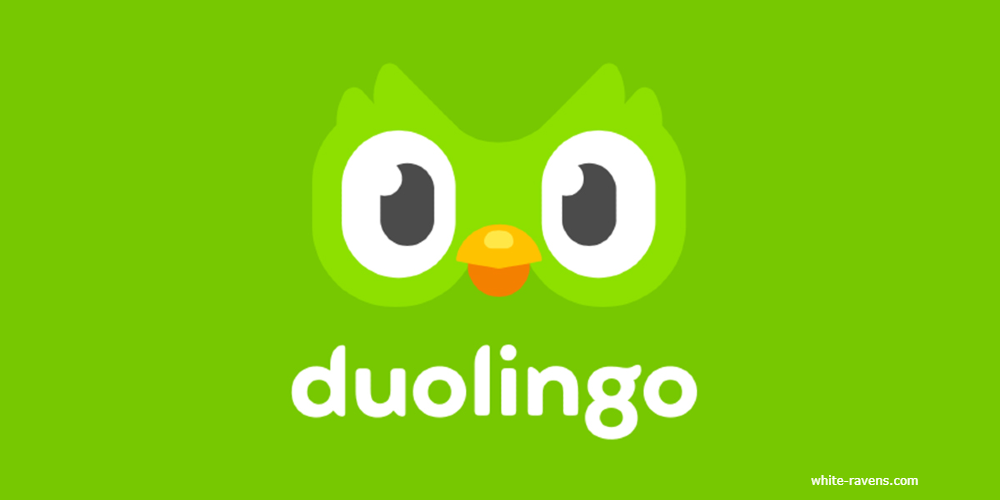 Gamify Your Learning Experience Duolingo app